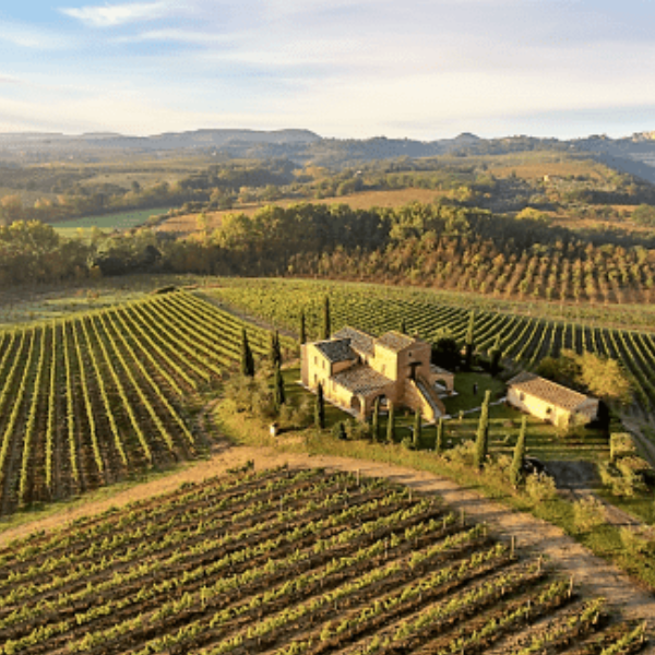 UNA CANTINA DIVERSA E MERAVIGLIOSA: CANTINE DEI